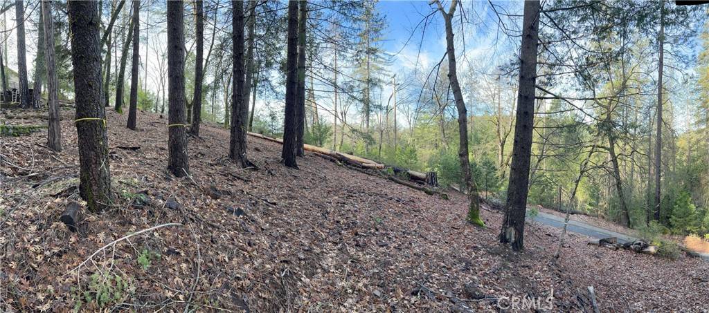 Loch Lomond, CA 95461,10280 Mulberry ST