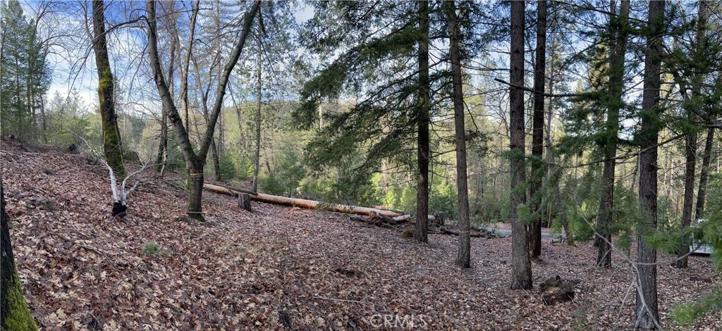 Loch Lomond, CA 95461,10280 Mulberry ST