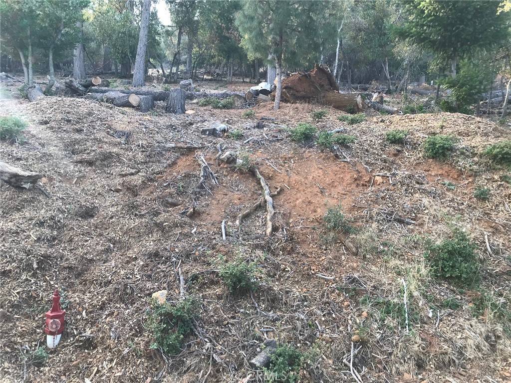 Kelseyville, CA 95451,3599 Pine Terrace DR