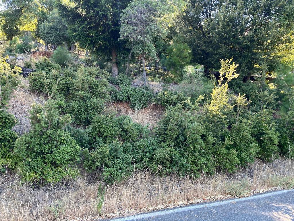 Kelseyville, CA 95451,3607 Pine Terrace DR
