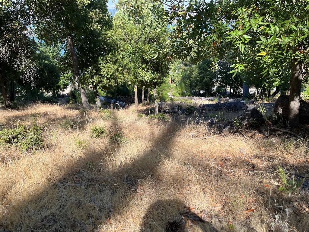 Kelseyville, CA 95451,3607 Pine Terrace DR