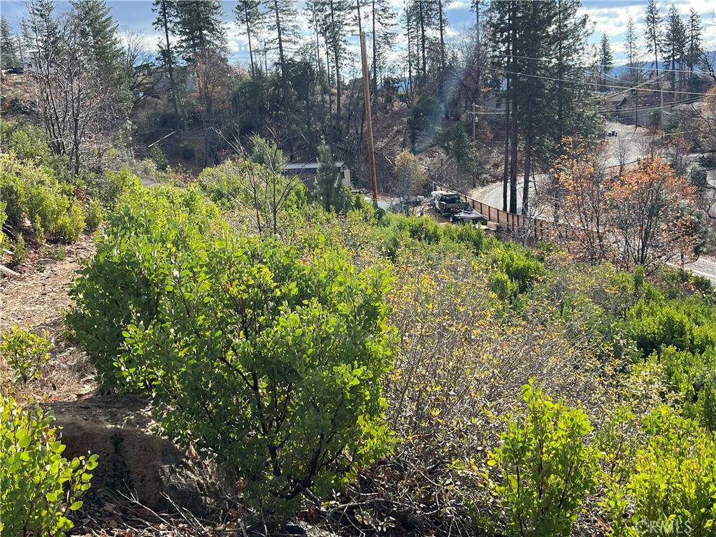 Cobb, CA 95426,11441 Gifford Springs RD