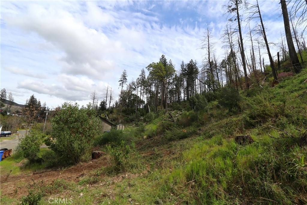 Middletown, CA 95461,11541 Anderson Springs RD