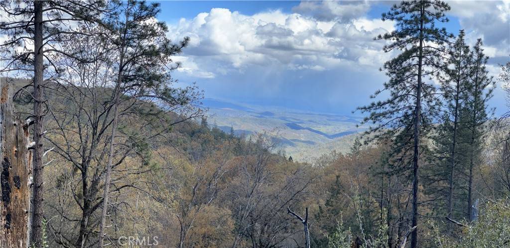 Loch Lomond, CA 95461,11256 Loch Lomond RD