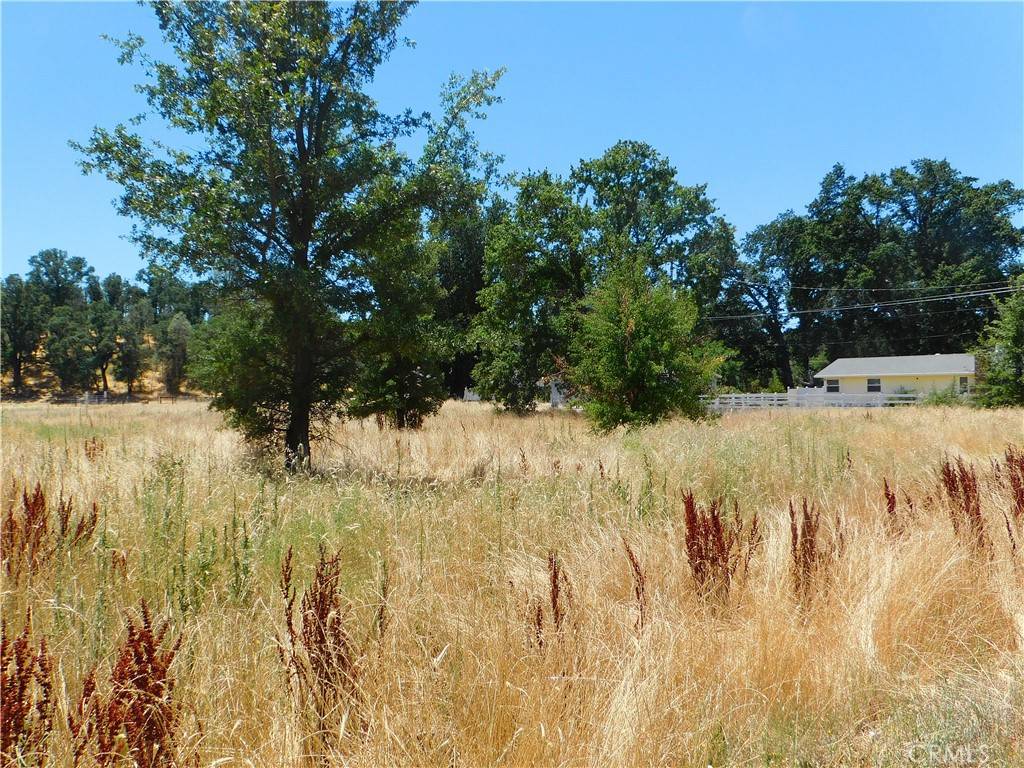 Lower Lake, CA 95457,16523 Ellen Springs RD