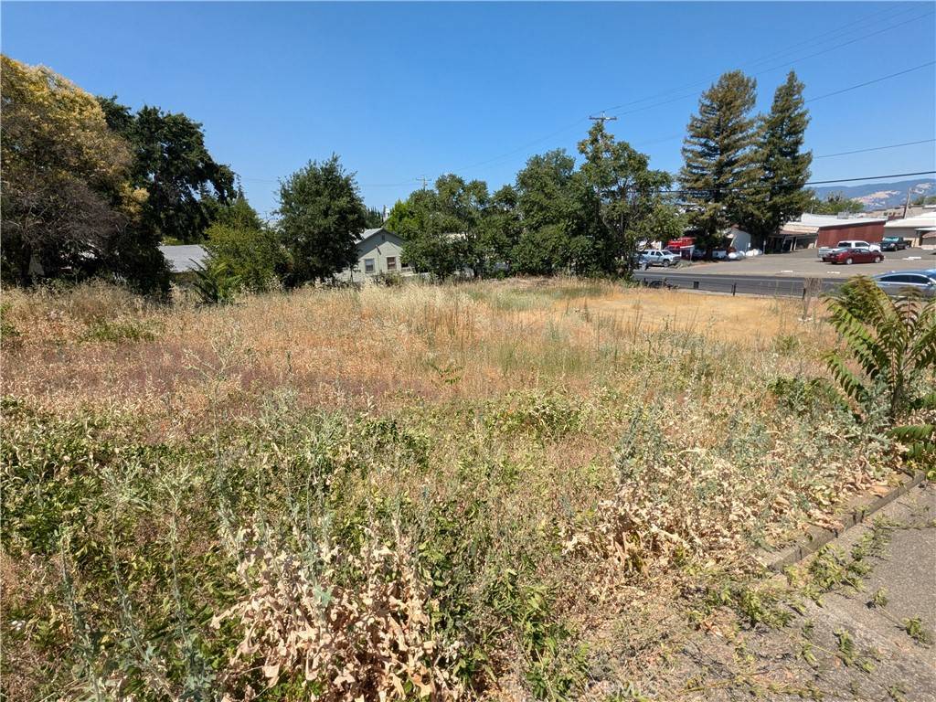 Lakeport, CA 95453,455 N Forbes ST