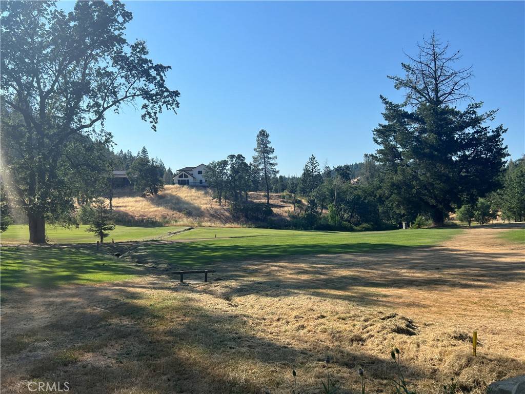 Cobb, CA 95426,14533 Snead DR