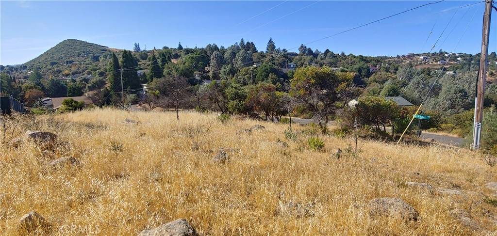 Kelseyville, CA 95451,9911 Emerald DR
