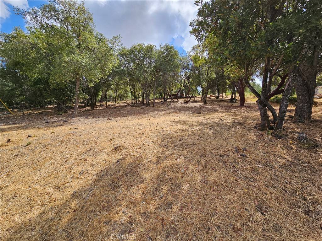 Kelseyville, CA 95451,9599 Timberline CT