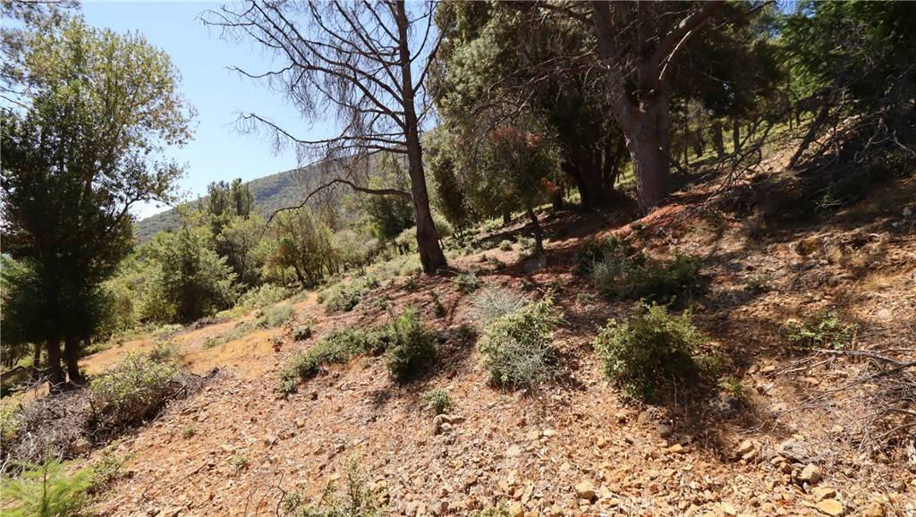 Kelseyville, CA 95451,8151 Broadview DR