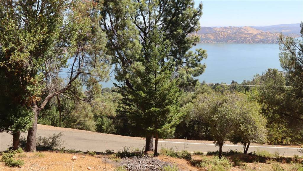 Kelseyville, CA 95451,8151 Broadview DR