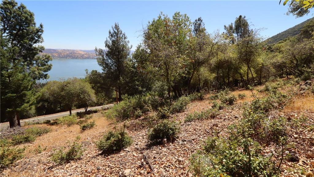Kelseyville, CA 95451,8157 Broadview DR