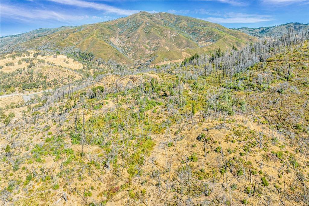 Upper Lake, CA 95485,14782 White Rock Canyon RD