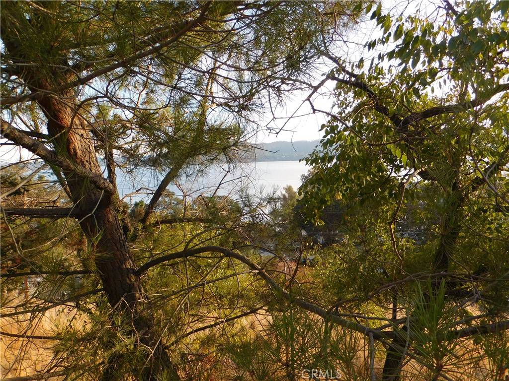 Clearlake, CA 95422,12971 San Joaquin AVE
