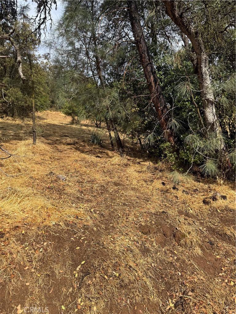 Clearlake Oaks, CA 95423,12504 Lakeview DR