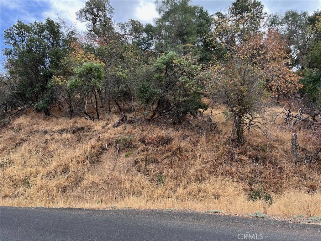 Clearlake, CA 95422,11095 North DR