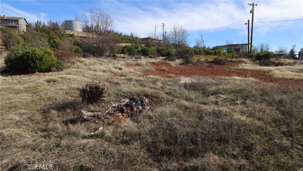 Cobb, CA 95426,15520 Sugar Pine DR