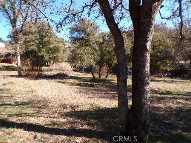 Kelseyville, CA 95451,5710 Maya RD