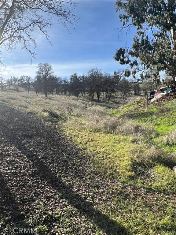 Clearlake Oaks, CA 95423,2627 River View RD