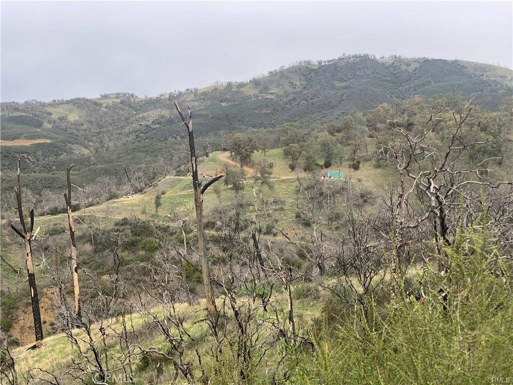 Lower Lake, CA 95457,10885 Sky High Ridge RD