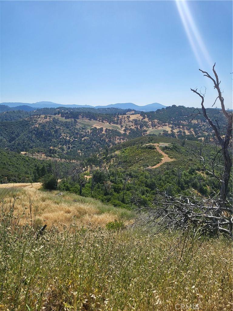 Lower Lake, CA 95457,10885 Sky High Ridge RD