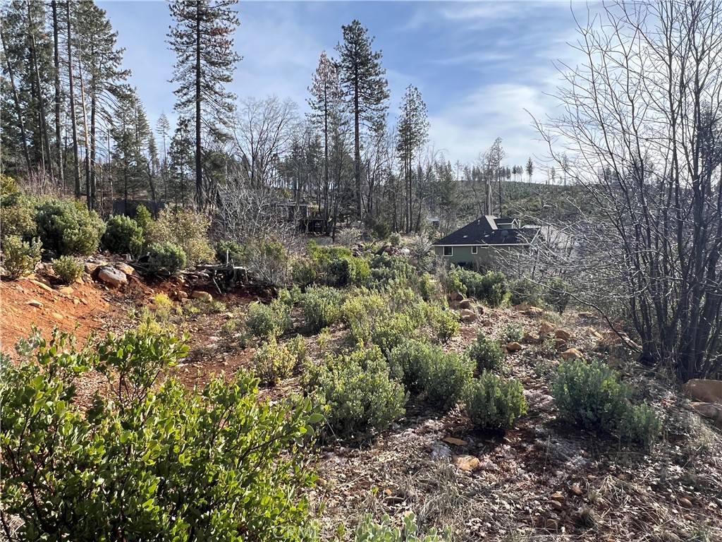 Cobb, CA 95426,16070 Pine ST