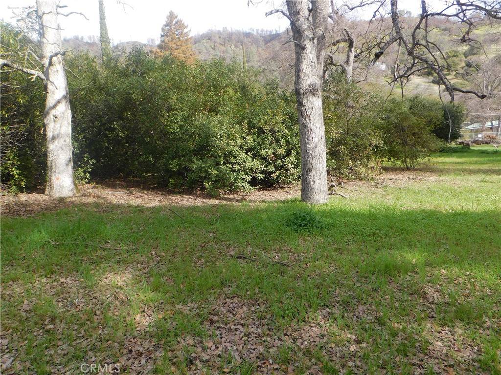 Clearlake Oaks, CA 95423,100 Spring RD