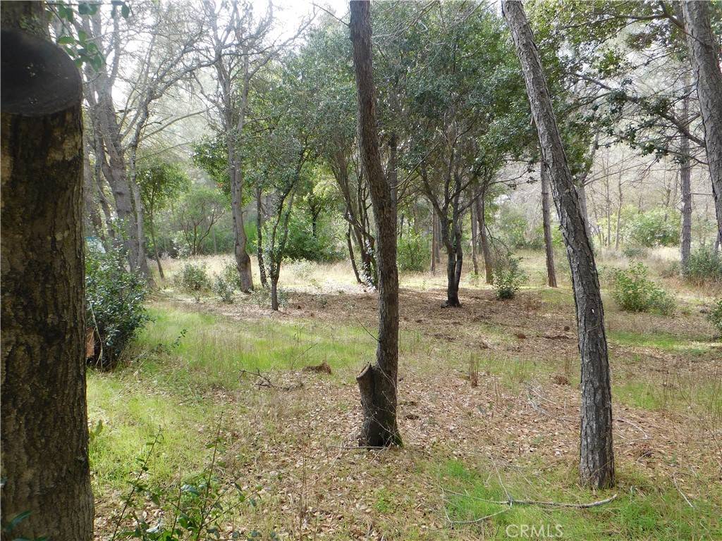 Clearlake, CA 95422,5834 Spruce AVE