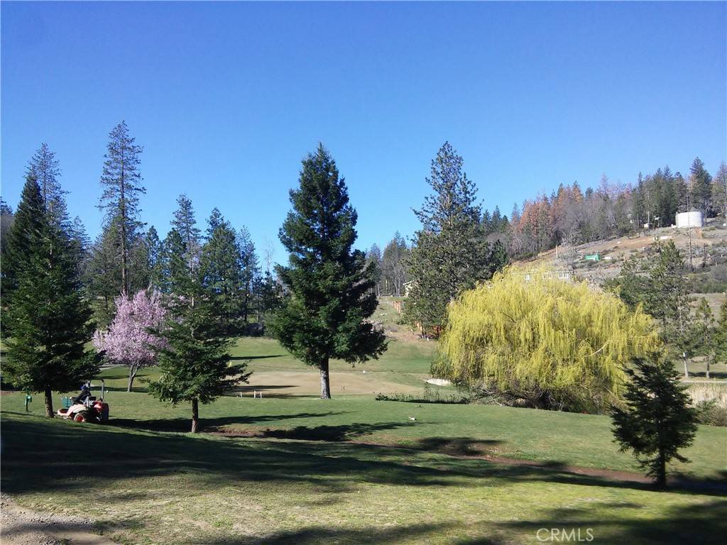 Cobb, CA 95426,14636 Lema LN