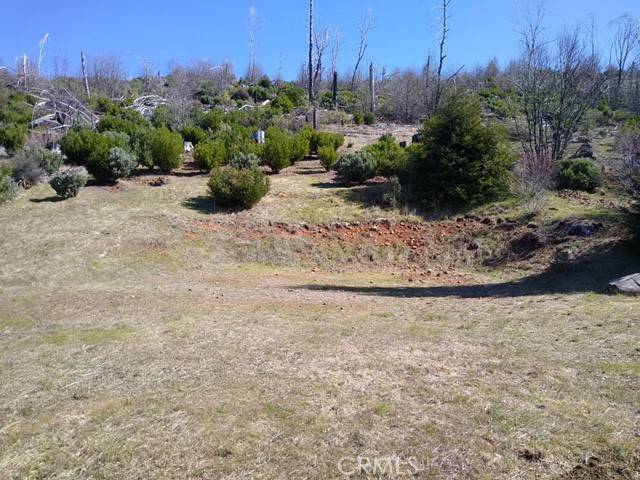 Cobb, CA 95426,15260 Evergreen DR