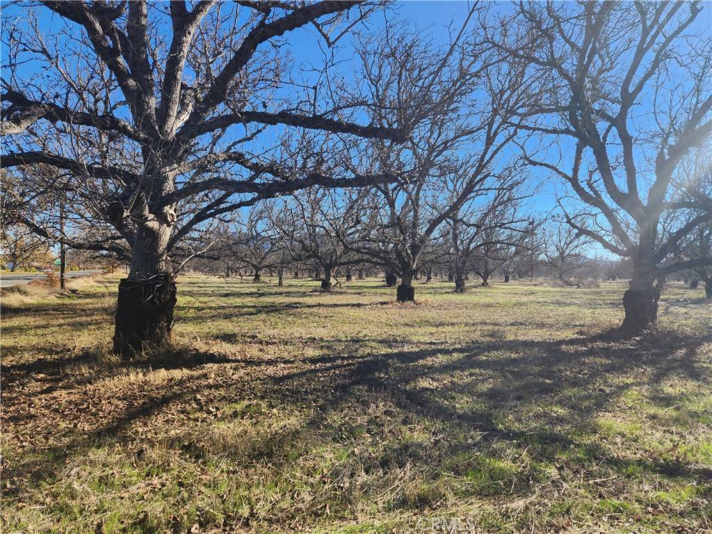 Lakeport, CA 95453,1665 Big Valley RD