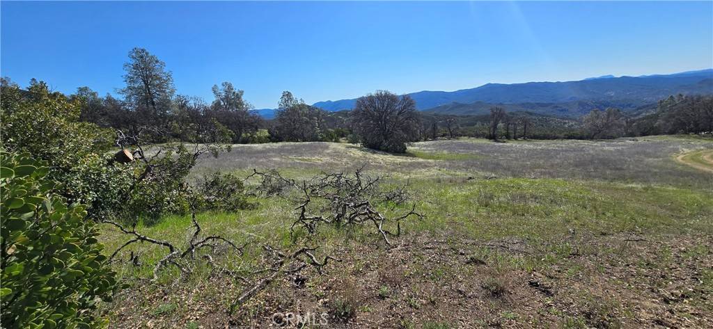 Clearlake Oaks, CA 95423,21762 Ramrod LN