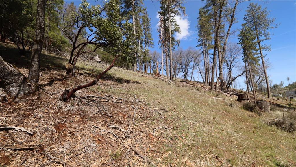 Cobb, CA 95426,9686 Fox DR