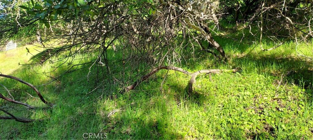 Clearlake, CA 95424,2891 San Joaquin AVE