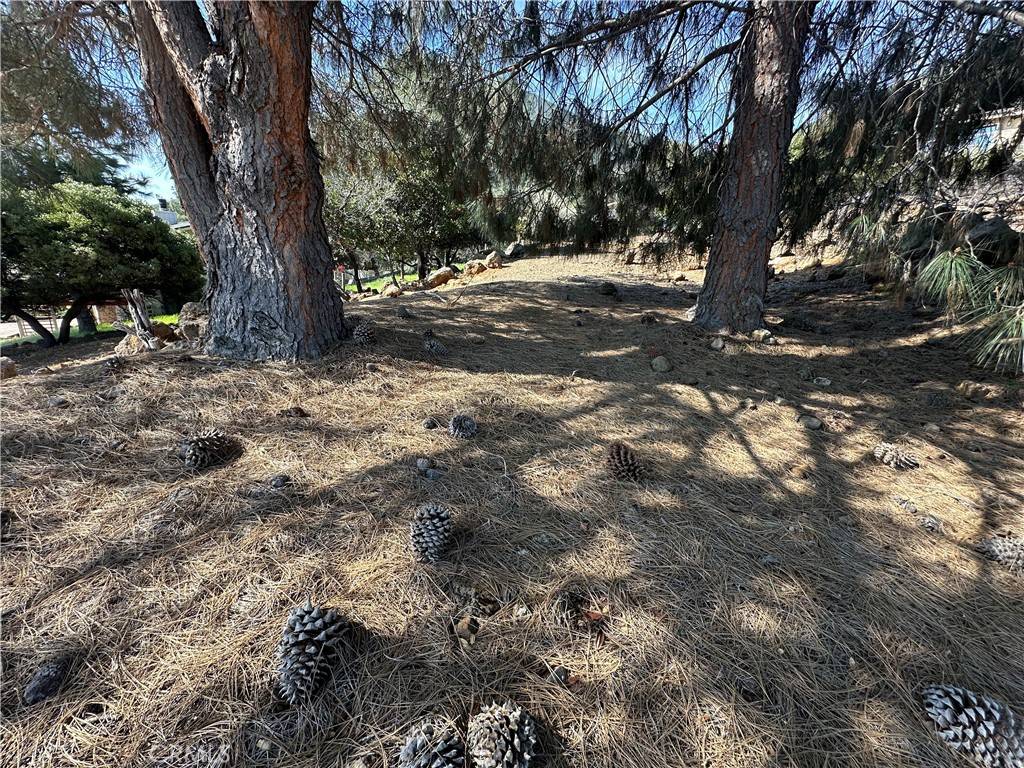 Kelseyville, CA 95451,3575 Shoreline View WAY