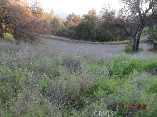 Clearlake Oaks, CA 95423,11860 Lakeview DR