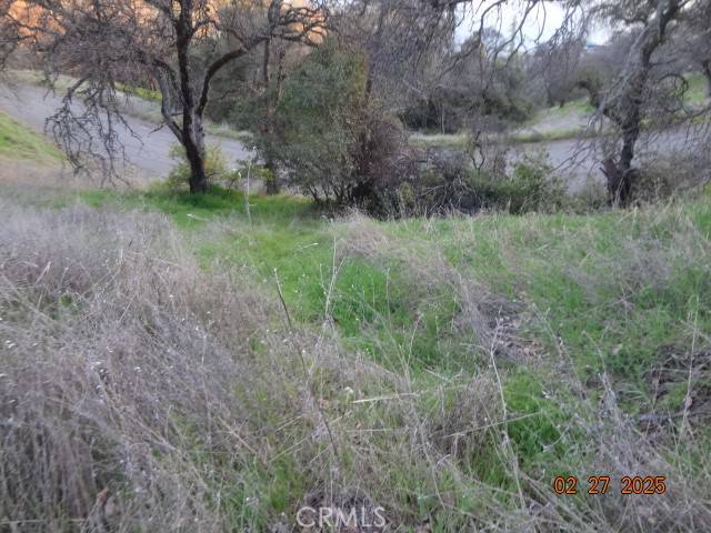 Clearlake Oaks, CA 95423,11860 Lakeview DR