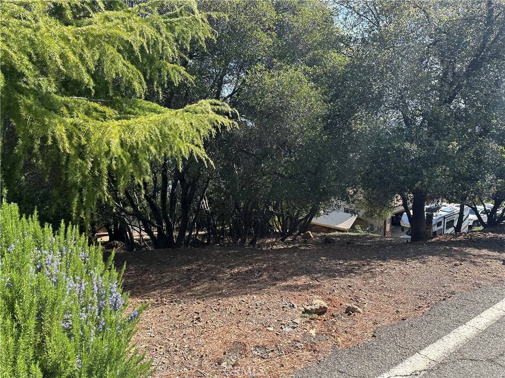 Kelseyville, CA 95451,8310 Mountain Crest DR