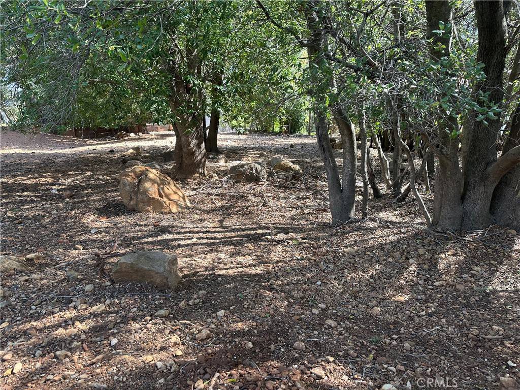 Kelseyville, CA 95451,8310 Mountain Crest DR
