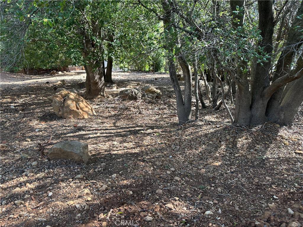Kelseyville, CA 95451,8310 Mountain Crest DR