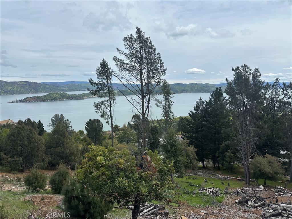 Kelseyville, CA 95451,3382 Pine Terrace DR