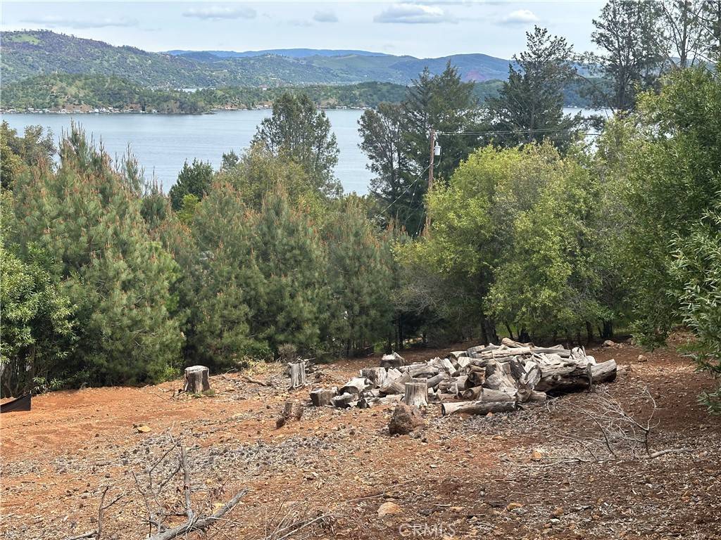 Kelseyville, CA 95451,3510 Knob Cone DR