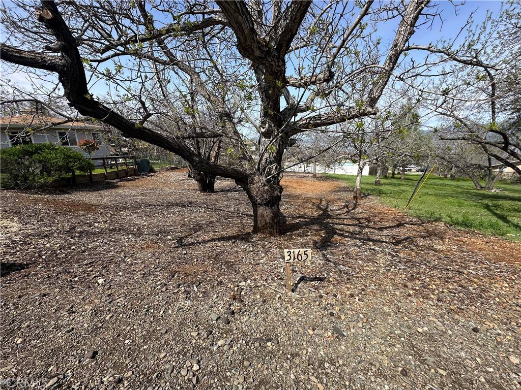 Kelseyville, CA 95451,3165 Marina View DR