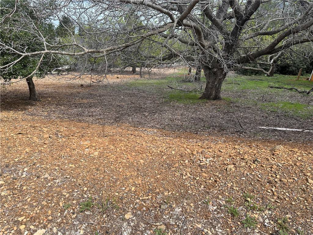 Kelseyville, CA 95451,3552 Crestwood DR