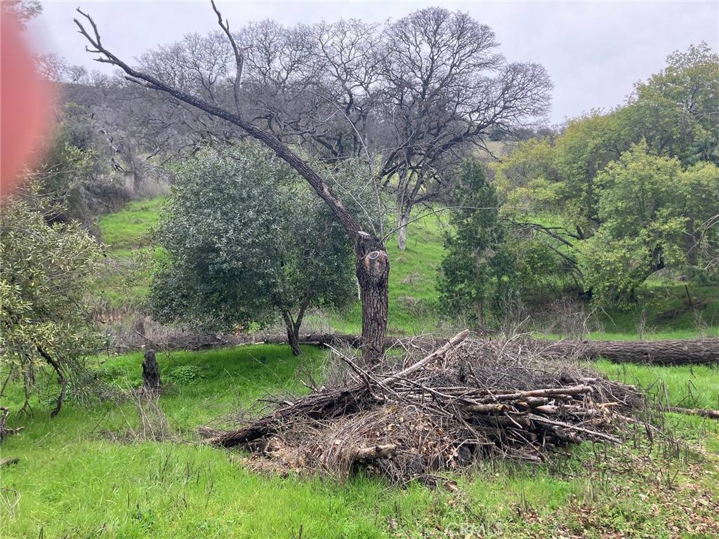 Lucerne, CA 95458,7005 7018 E Highway 20