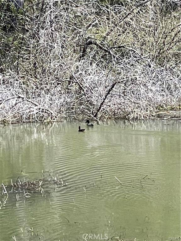 Lower Lake, CA 95457,9650 Rocky Creek RD