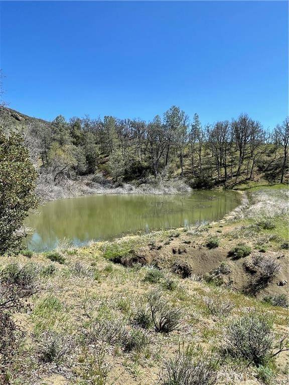 Lower Lake, CA 95457,9650 Rocky Creek RD