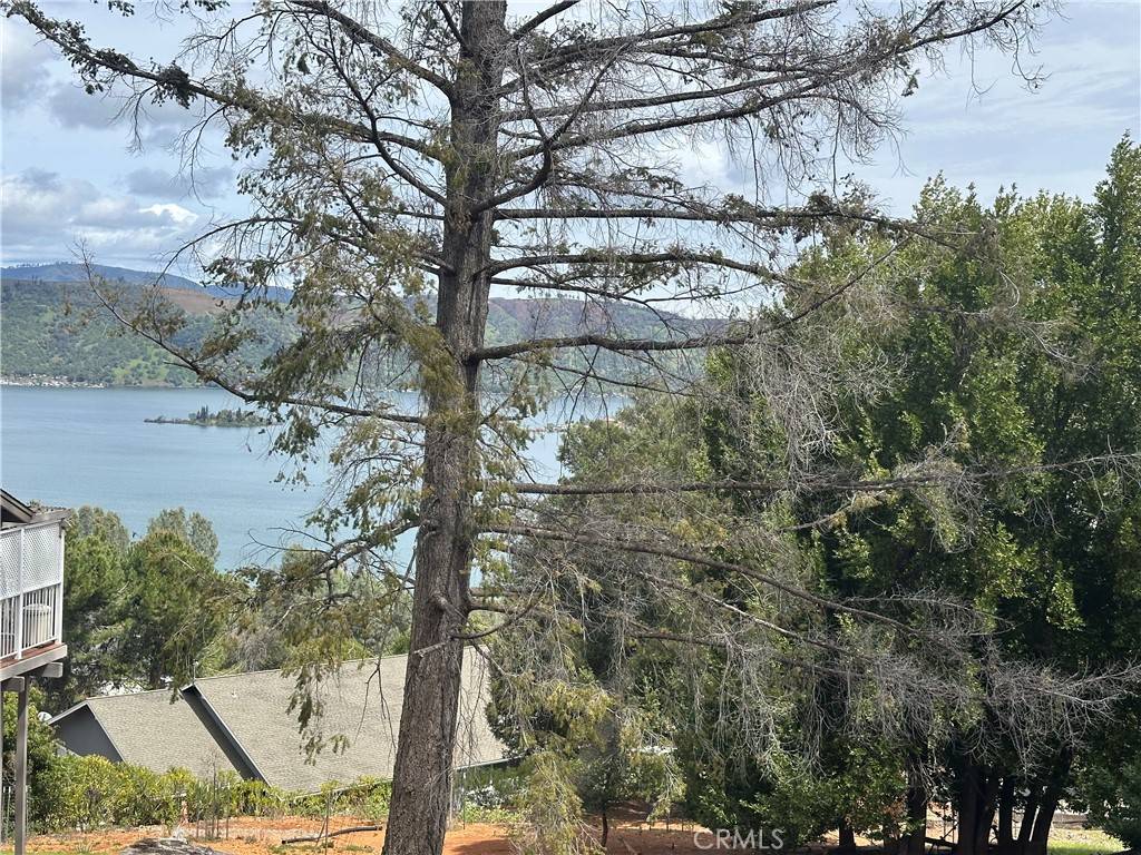 Kelseyville, CA 95451,3524 Idlewood DR