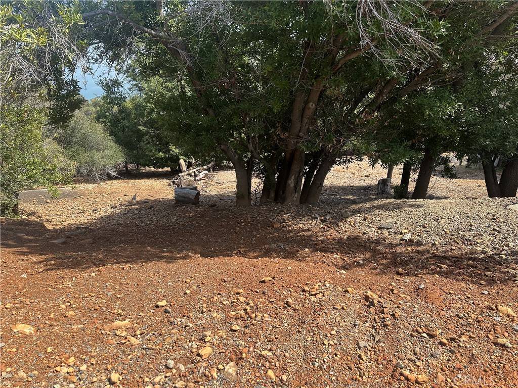 Kelseyville, CA 95451,8146 Broadview DR