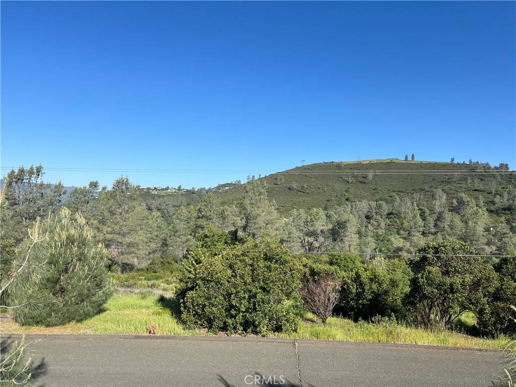 Middletown, CA 95461,19600 Nicholas LN